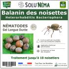 Balanin des noisettes - Nématodes (HB)