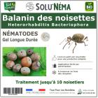 Balanin des noisettes - Nématodes (HB)