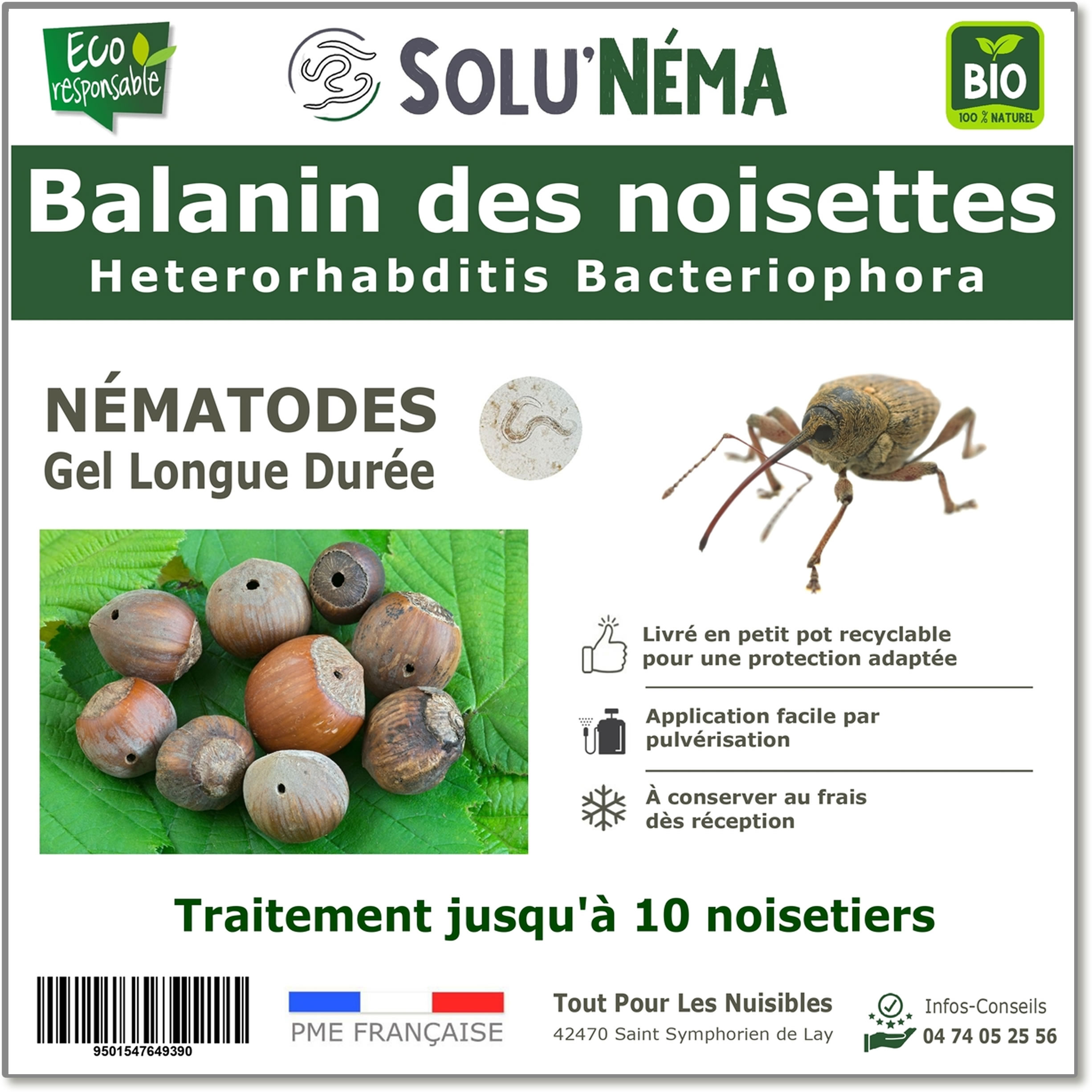 Balanin des noisettes - Nématodes (HB)