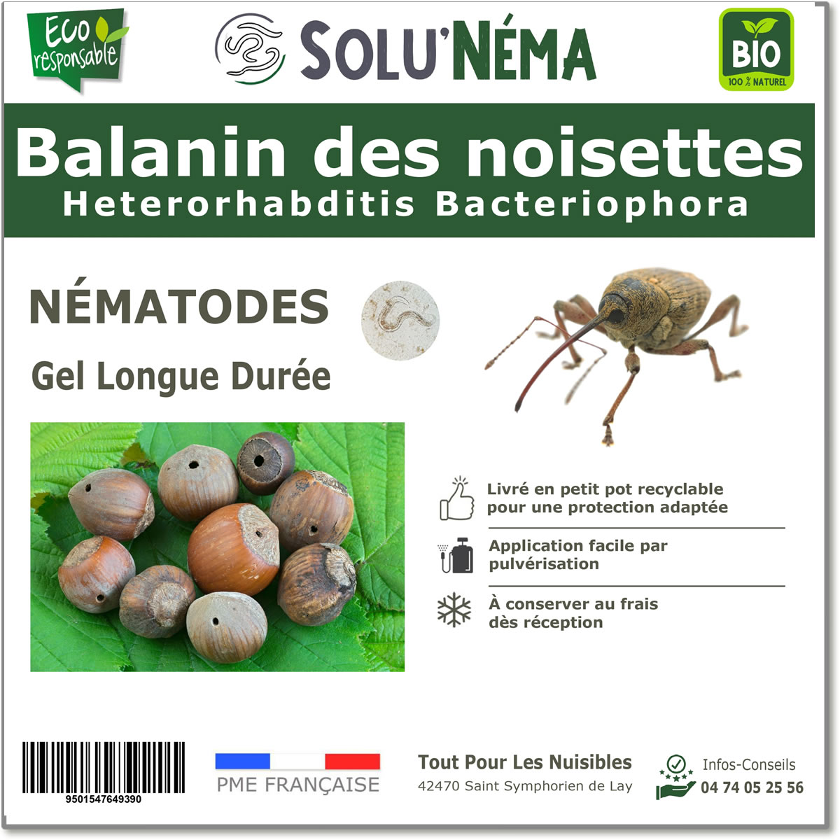 SOLUNEMA - Balanin des noisettes - Nématodes (HB)