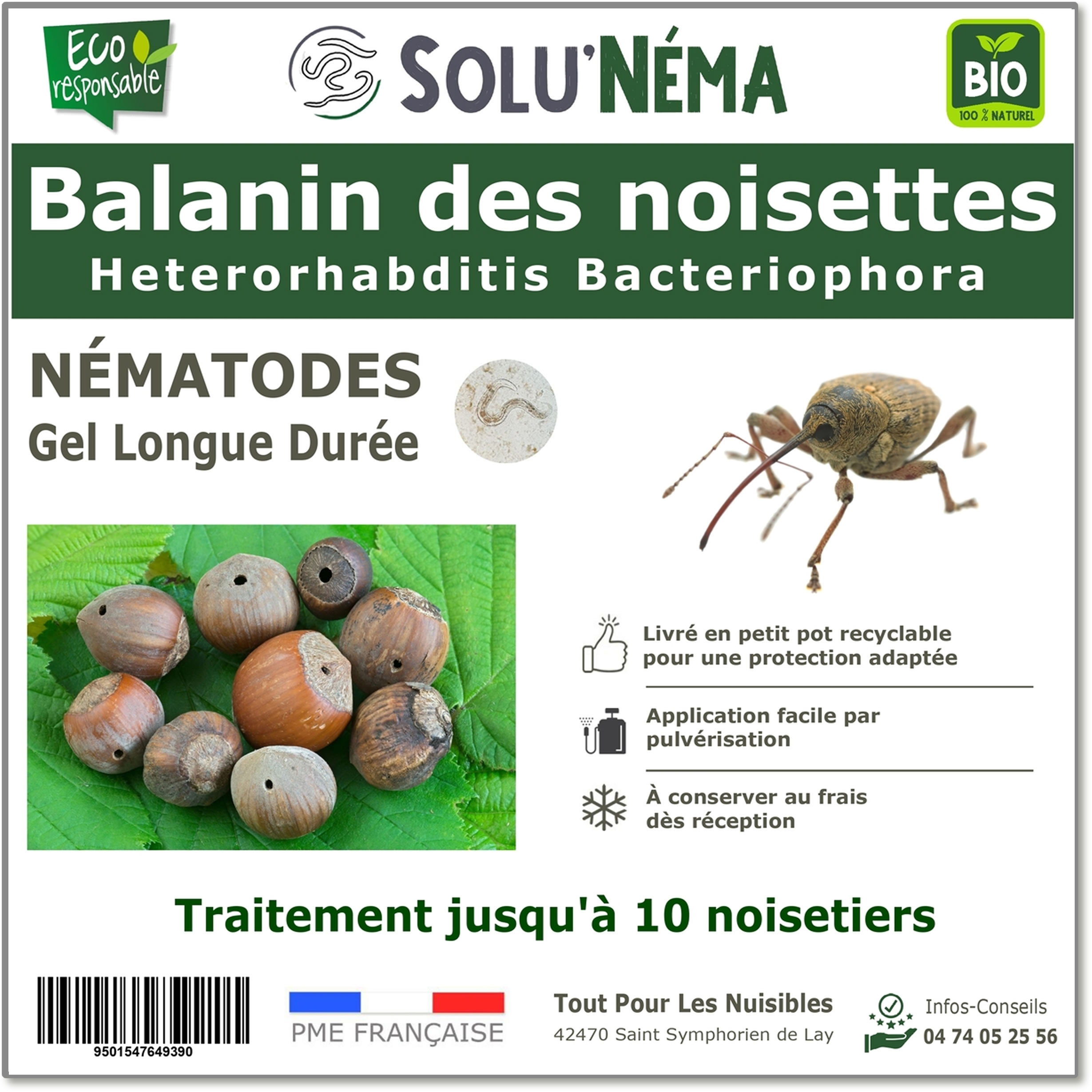 Balanin des noisettes - Nématodes (HB)