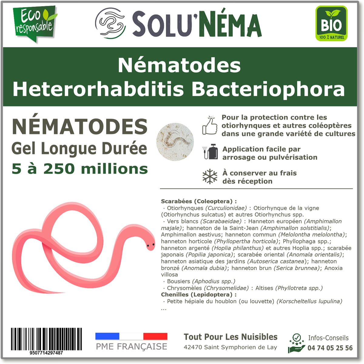 SOLUNEMA - Nématodes Heterorhabditis Bacteriophora (HB)